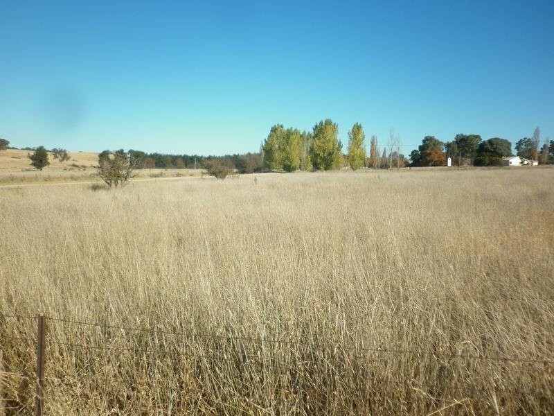 30 Market Street, Molong NSW 2866