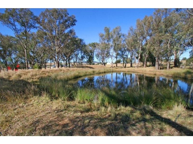 1955 Davys Plains Road, Cargo NSW 2800