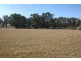 1955 Davys Plains Road, Cargo NSW 2800