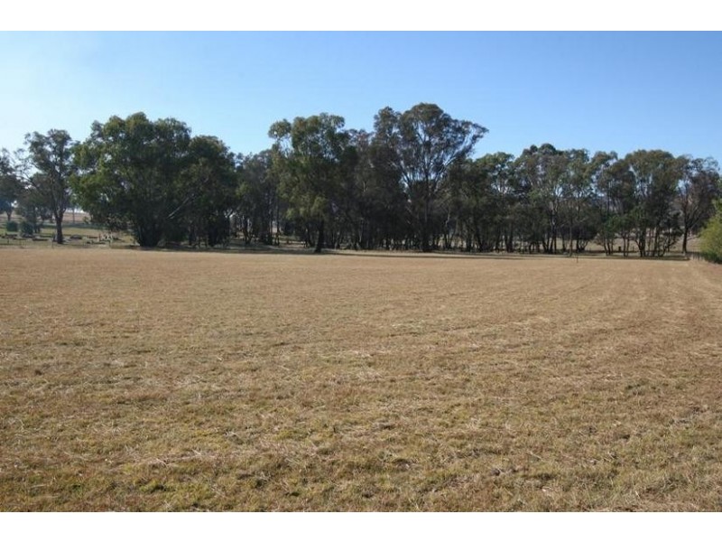 1955 Davys Plains Road, Cargo NSW 2800