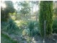 21 Old Orange Road, Manildra, Molong NSW 2866