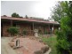 13 Shannon Street, Molong NSW 2866