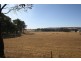 1955 Davys Plains Road, Cargo NSW 2800