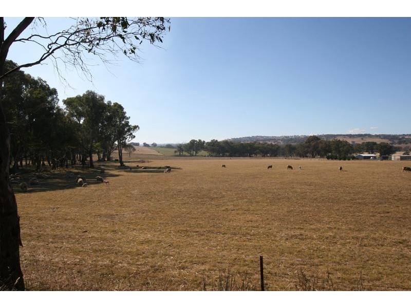 1955 Davys Plains Road, Cargo NSW 2800