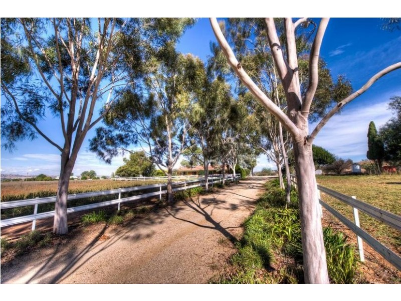 188 Square Road, Canowindra NSW 2804