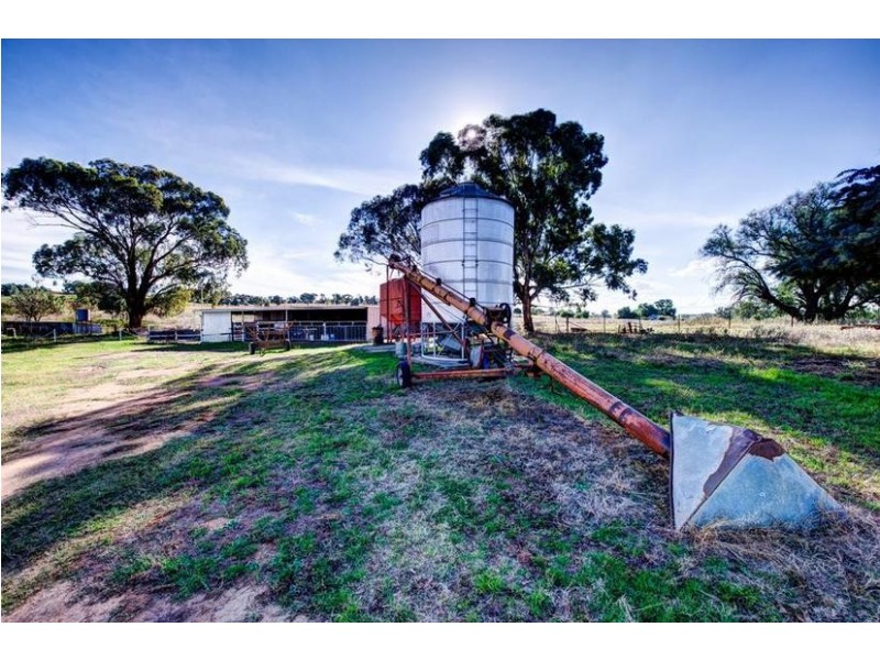 188 Square Road, Canowindra NSW 2804