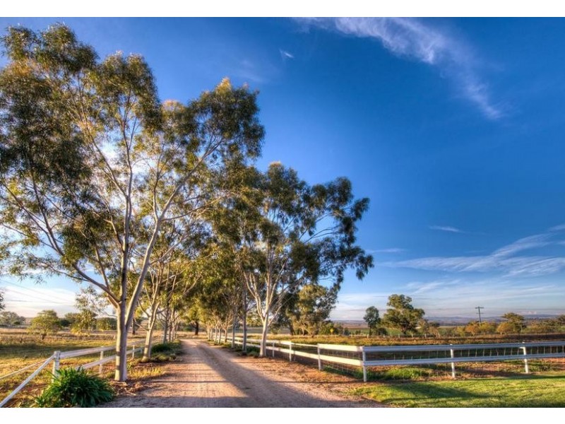 188 Square Road, Canowindra NSW 2804