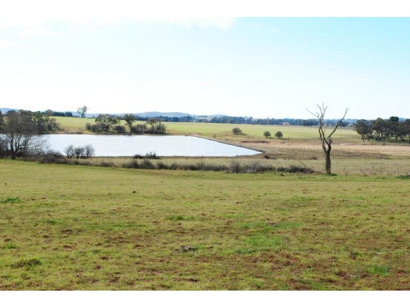 - Spring Terrace Road, Orange NSW 2800