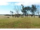 - Spring Terrace Road, Orange NSW 2800