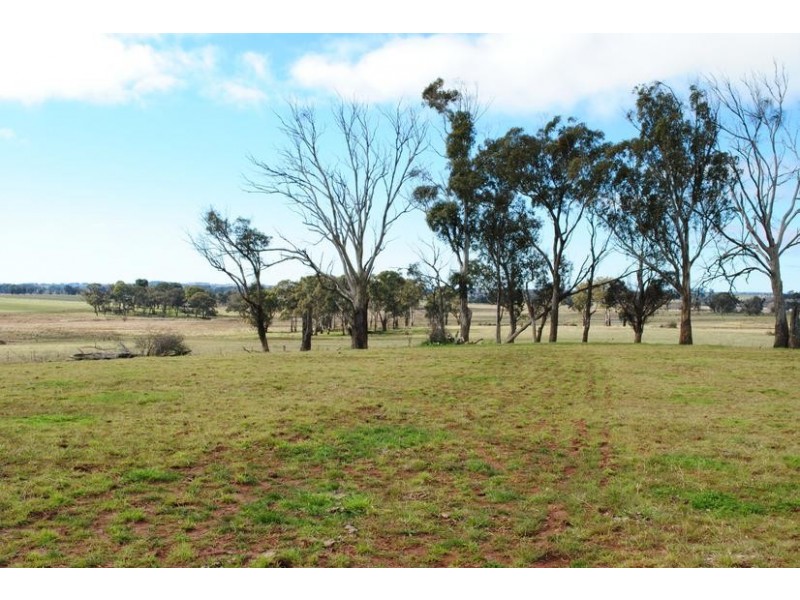 - Spring Terrace Road, Orange NSW 2800