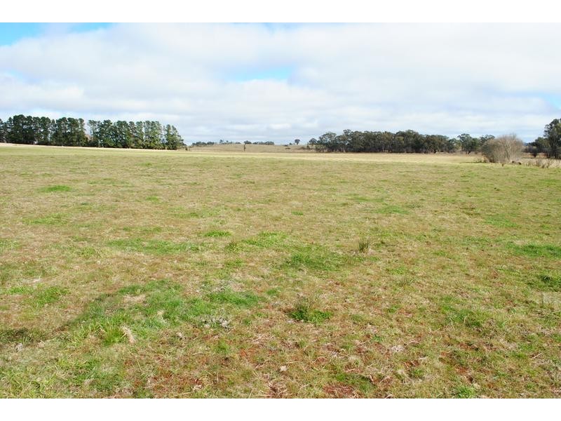 - Spring Terrace Road, Orange NSW 2800