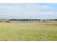 - Spring Terrace Road, Orange NSW 2800