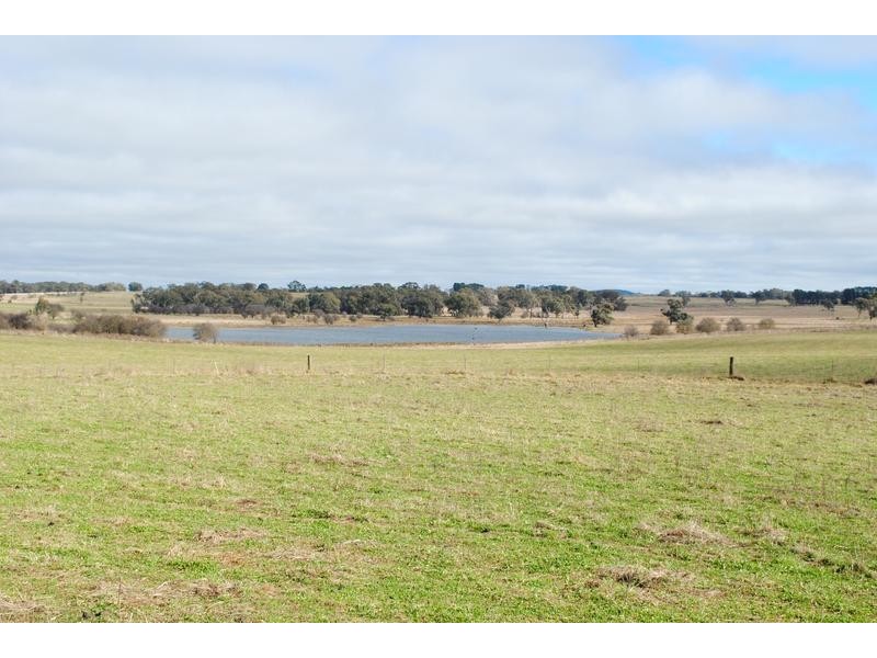 - Spring Terrace Road, Orange NSW 2800
