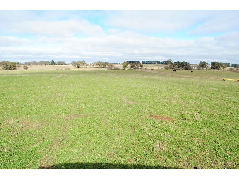 - Spring Terrace Road, Orange NSW 2800
