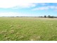 - Spring Terrace Road, Orange NSW 2800