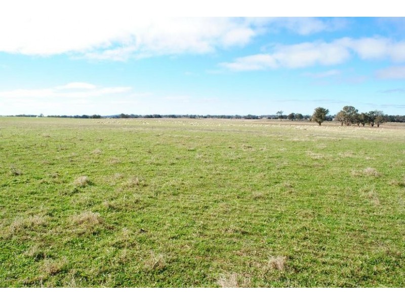 - Spring Terrace Road, Orange NSW 2800