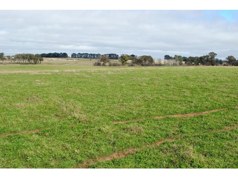 - Spring Terrace Road, Orange NSW 2800