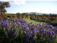 131 Nashdale Lane, Orange NSW 2800