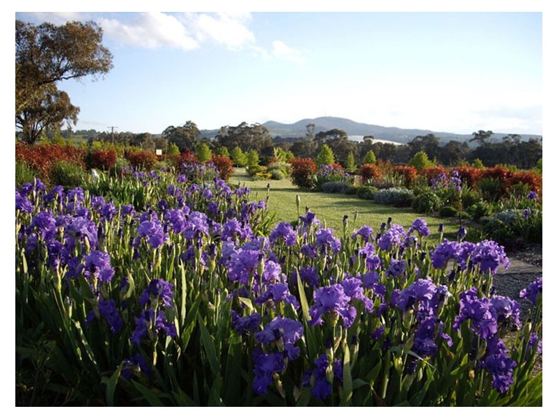 131 Nashdale Lane, Orange NSW 2800