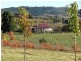 621 & 683 Canobolas Road, Orange NSW 2800