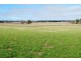 - Spring Terrace Road, Spring Terrace NSW 2798