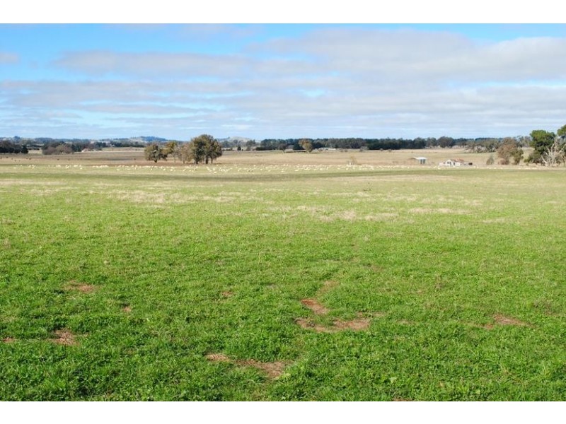 - Spring Terrace Road, Spring Terrace NSW 2798