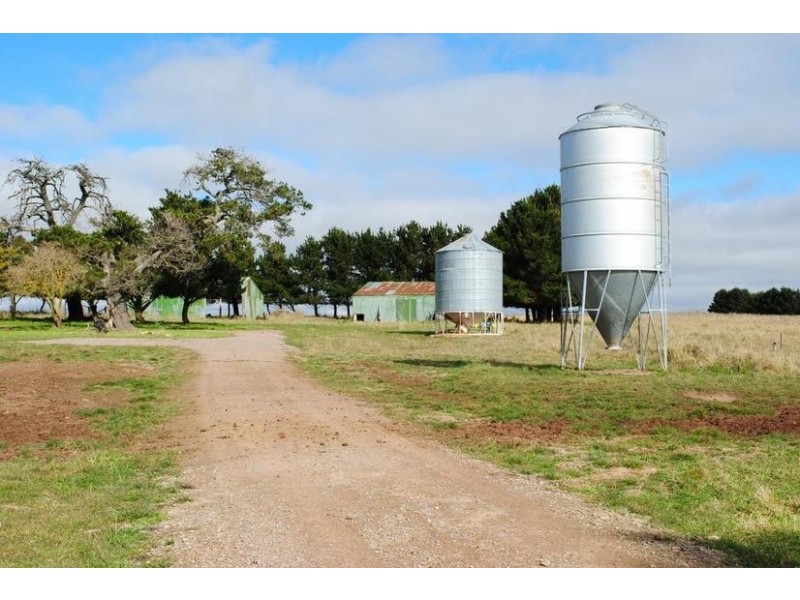 - Spring Terrace Road, Spring Terrace NSW 2798