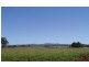 - Spring Terrace Road, Spring Terrace NSW 2798
