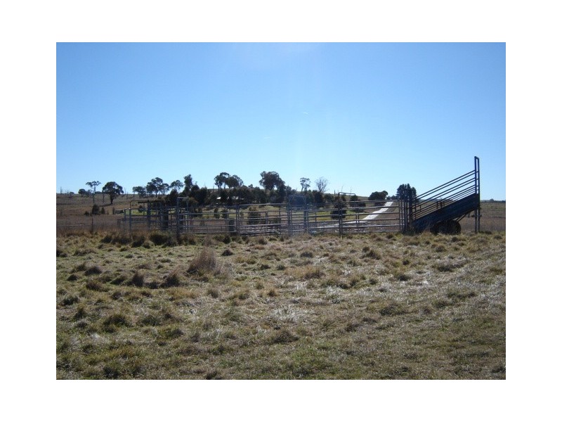 376 Guyong Rd, Blayney NSW 2799