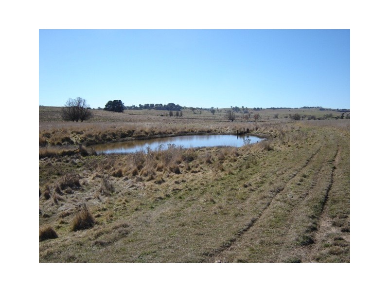 376 Guyong Rd, Blayney NSW 2799