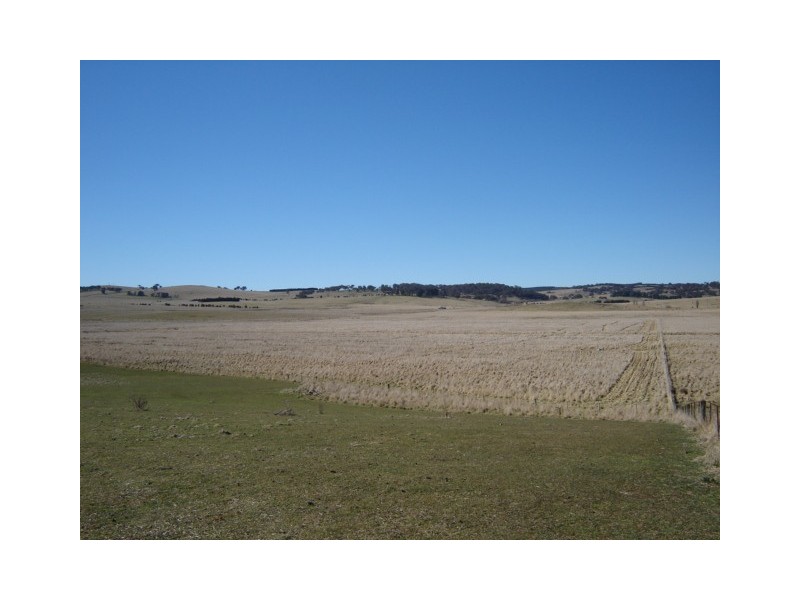 376 Guyong Rd, Blayney NSW 2799