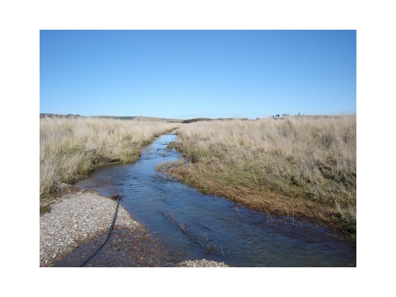 376 Guyong Rd, Blayney NSW 2799