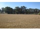 1955 (2) Davys Plains Road, Cargo NSW 2800