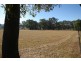 1955 (2) Davys Plains Road, Cargo NSW 2800