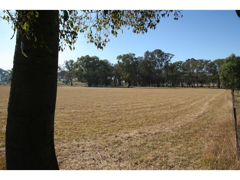1955 (2) Davys Plains Road, Cargo NSW 2800