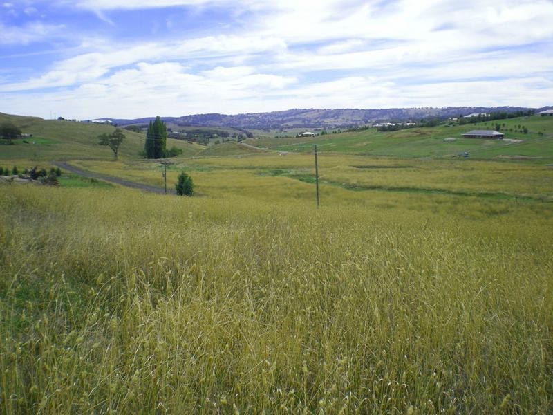 Lot 100 – 103, – Madelines Lane, Orange NSW 2800