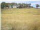 Lot 100 – 103, – Madelines Lane, Orange NSW 2800