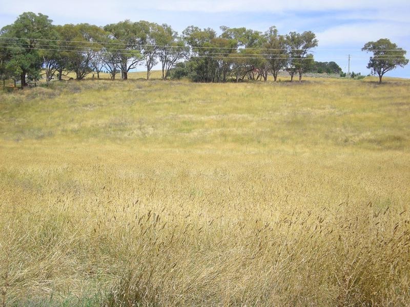 Lot 100 – 103, – Madelines Lane, Orange NSW 2800