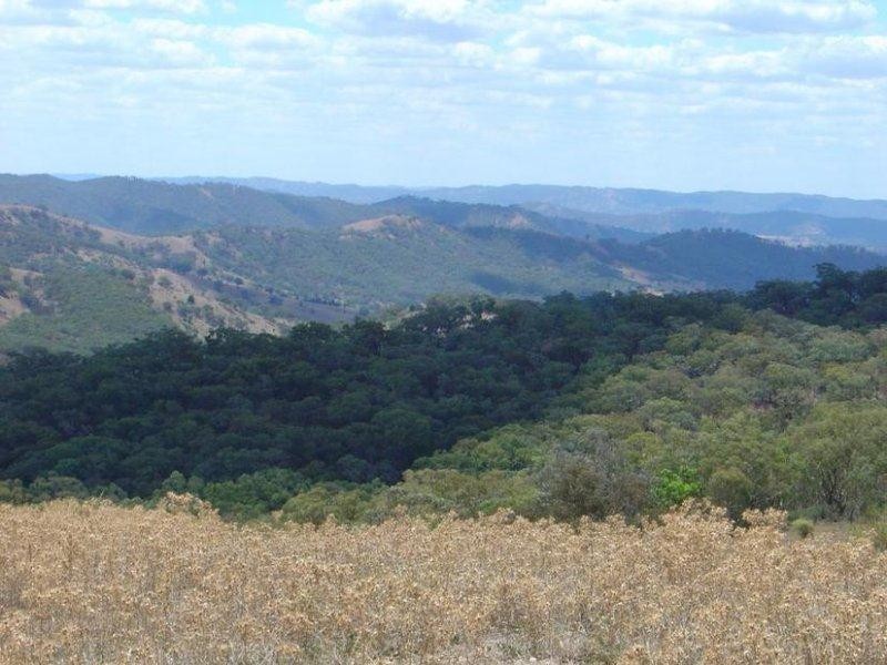 1217 Bundalah Road, Orange NSW 2800