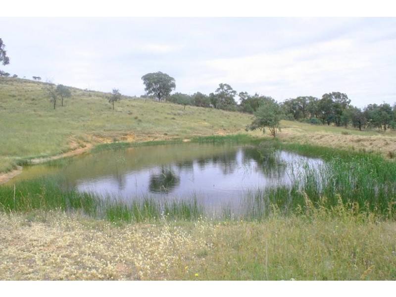 Lewis Ponds Road, Orange NSW 2800
