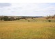 Lewis Ponds Road, Orange NSW 2800