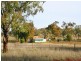 42 Orange Road, Manildra NSW 2865