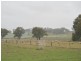 42 Orange Road, Manildra NSW 2865