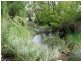1190 Mitchell Highway, Orange NSW 2800