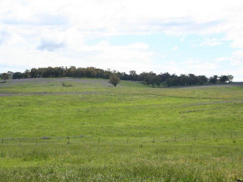 1190 Mitchell Highway, Orange NSW 2800