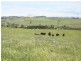 1190 Mitchell Highway, Orange NSW 2800