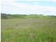 1190 Mitchell Highway, Orange NSW 2800
