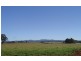 Spring Terrace Road, Orange NSW 2800