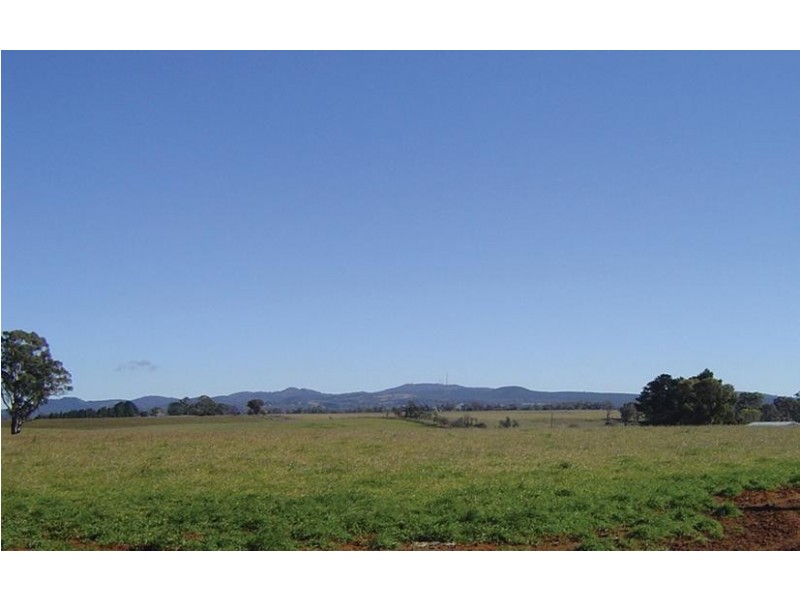 Spring Terrace Road, Orange NSW 2800