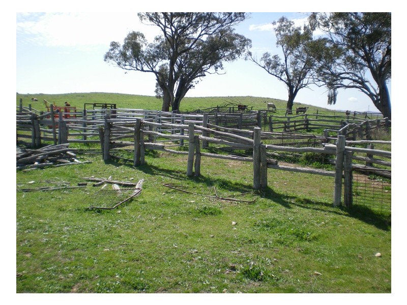 Ophir Road, Orange NSW 2800
